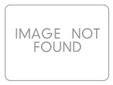 EH Collections - Micro-Pave ScrewBack Earrings